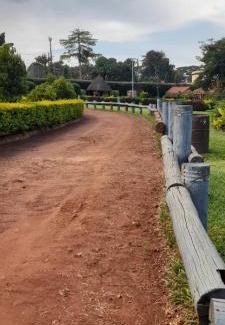 Jinja Apartamento | Miji Lake Victoria View Cottage
