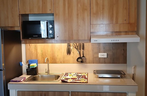 Libjo Condominio | Mike's Residence at Marina Spatial - Dumaguete City