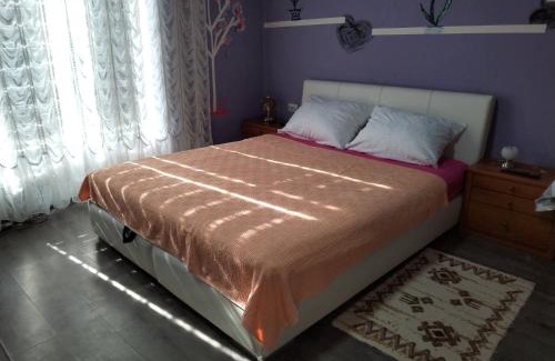 Central Serbia Apartamento | Miladinović Bistrica