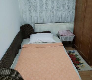 Central Serbia Apartamento | Miladinović Bistrica