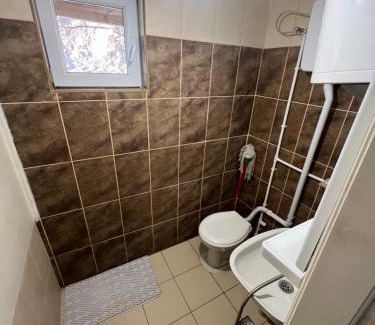 Central Serbia Apartamento | Milić apartmani 1