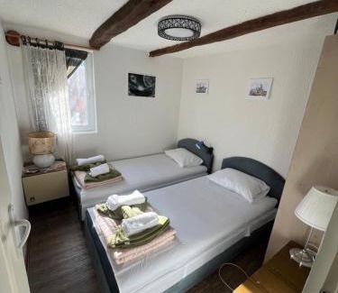 Central Serbia Apartamento | Milić apartmani 1