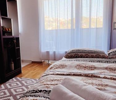 Alipasin Most Apartamento | Miljacka