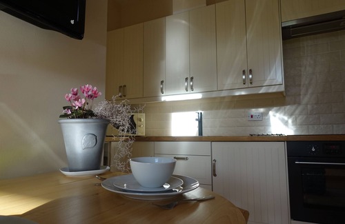Tavernspite Cabaña | MILL COTTAGE - una acogedora casa rural con lago de pesca privado