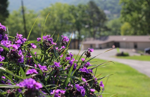 Lampe Cabina | Mill Creek Resort on Table Rock Lake