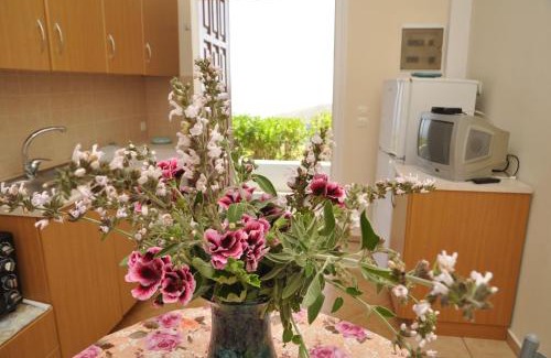 Andros Town Casa | MILTIADIS APARTMENTS