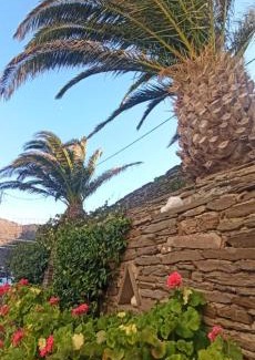 Andros Town Casa | MILTIADIS APARTMENTS