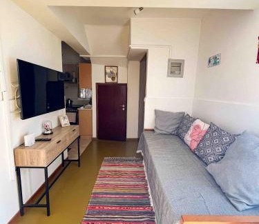 Kokkari Apartamento | Miltiadis Apartments