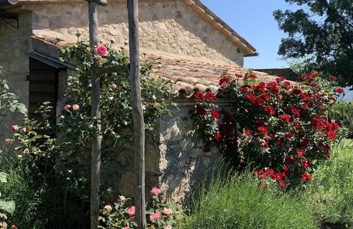 Orvieto Apartamento | Milva's Nest Botto