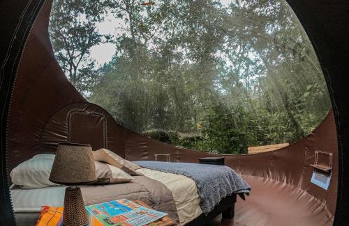 Mindo Cabina | Mindo GlamBird Glamping & Lodge