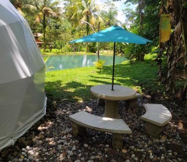 Guayabo Otro | Mineral River Eco Dome