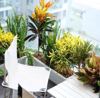Hue Apartamento | Minh Anh Apartment 2