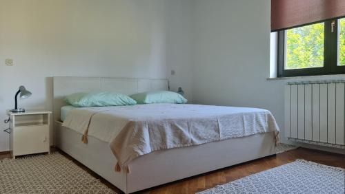 Muntic Apartamento | Minhen
