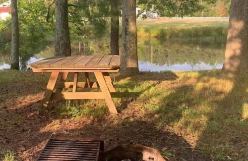 Allen Cabina | Mini Cabin 7 Near Ocean City & Assateague