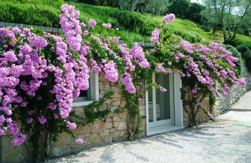 Frader Casa | MINI DI LUSSO CON PISCINA