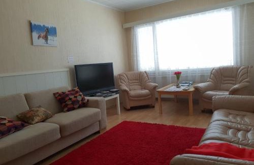 Leppavirta Apartamento | Mini-Mani Northern House