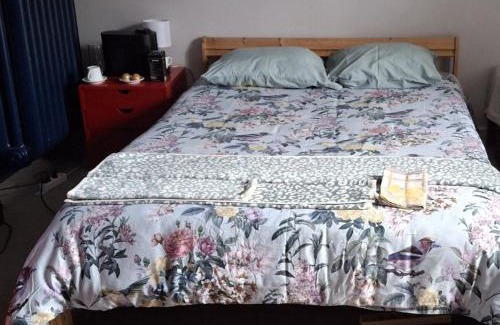 Saint-Sulpice Apartamento | Mini studio avec cuisine, TV mural et sanitaires très confortable