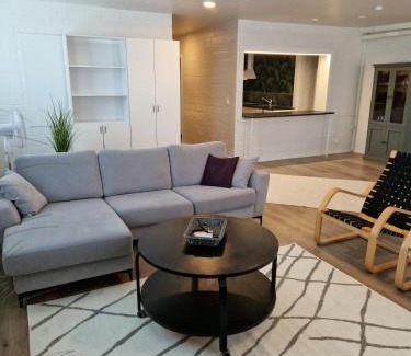 Jyvaskyla Apartamento | Minna Canthin katu Apartment