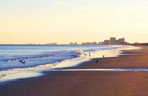 Crescent Beach Apartamento | Mint Mermaid/walk 2 beach/pets ok/Golf Cart option
