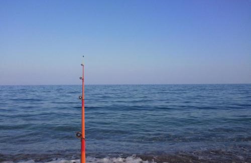 Kemer Apartamento | Minta Apart Hotel