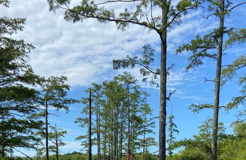 Sturgis Cabina | Minutes from Starkville, Louisville, Sturgis