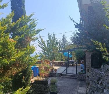 Sucici Casa | Mir u prirodi