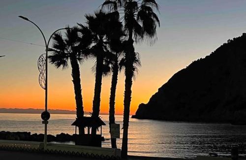 Cala Apartamento | Mira Mar Atrium Beach