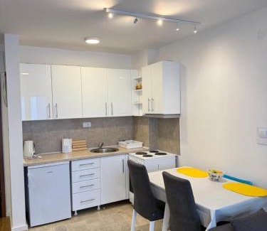 Soko Banja Apartamento | Mirabela Apartman Sokobanja