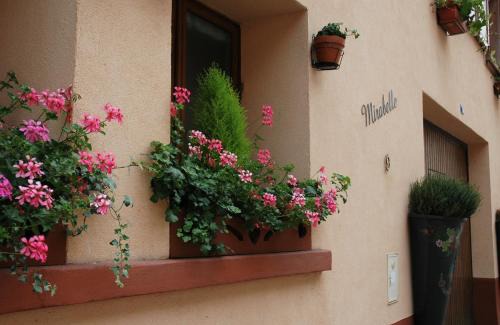 Ribeauville Cama Y Desayuno | Mirabelle Bed & Breakfast