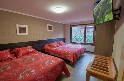 Osorno Apartamento | mirabosque new aparments 4