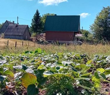 Zabljak Casa | Miracle garden