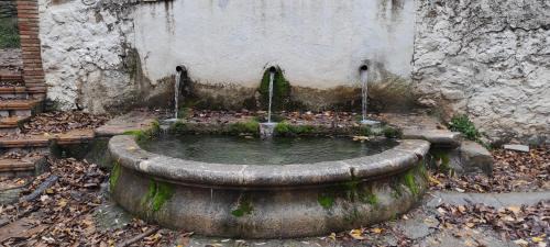 Quesada Chalet De Esquí | Mirador del Carpintero