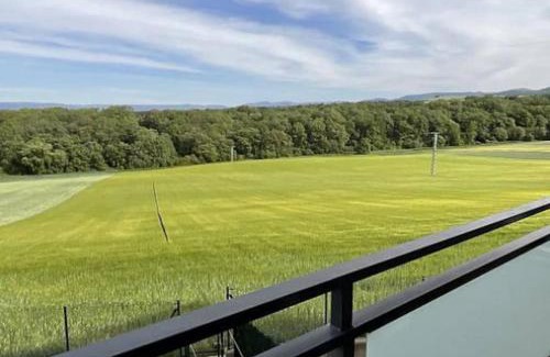 Ciruena Apartamento | Mirador Rioja alta golf