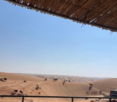 Bidiya Otro | Mirage Desert Camp
