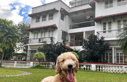 Bagong Lipunan Ng Crame Apartamento | MiraNamin Nest BANABA Suite in Unique Historic Home - Garden View, Shared Kitchen, Rooftop, Pet Friendly with a Fee