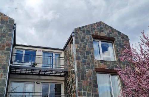 San Martín de los Andes Apartamento | Mirando al sur