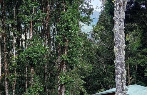 San Gerardo de Dota Cama Y Desayuno | Miriam'S Quetzals lodge