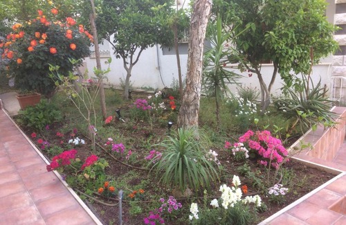 Nazareth Casa | Miriam Short Term Rental