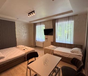 Ternopil's'ka oblast Hotel | MishyN-City Hotel