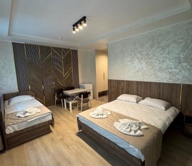 Ternopil's'ka oblast Hotel | MishyN-City Hotel