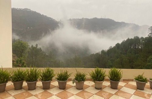 Kumarhatti Hotel | Misty Meadows by Priyago Hotels