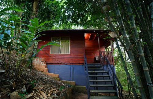 Meppadi Cama Y Desayuno | Misty Morning Resorts Wayanad