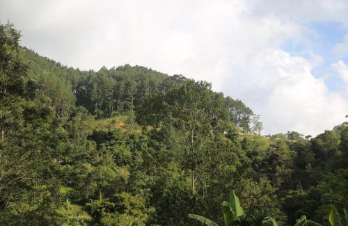Ella Complejo | Misty Mount Resort