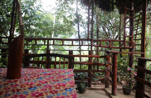 Ella Complejo | Misty Mount Resort