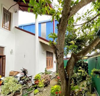 Dalupotha Casa | Misty Tours & Stay