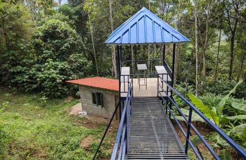 Udumbanchola Cama Y Desayuno | Misty Valley Hospitality,Munnar