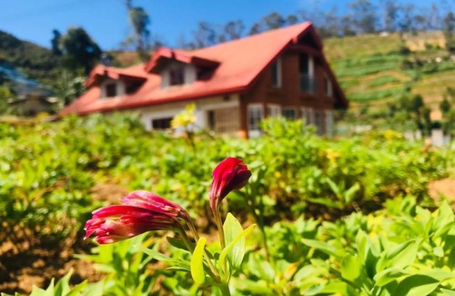 Nuwara Eliya Casa | Misty Wood Cottage