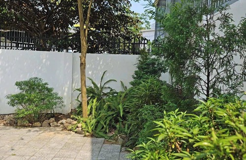 Hue Apartamento | Mit homestay