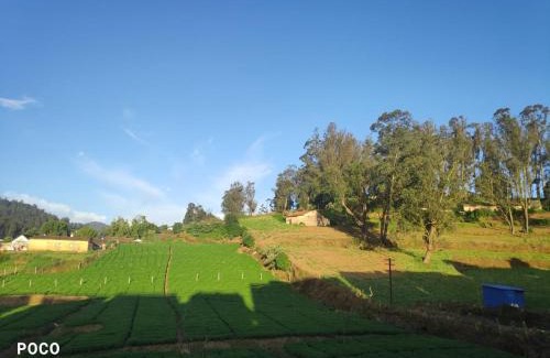 Kandal Casa | Mithra Cottages Ooty Individual Villa Breakfast Complementary, Campfire Available, BBQ Available, Home made Food Available