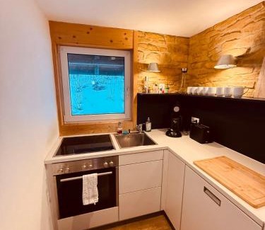 Feldberg Apartamento | Mitten auf dem Feldberg Panorama Apartment Bergglück